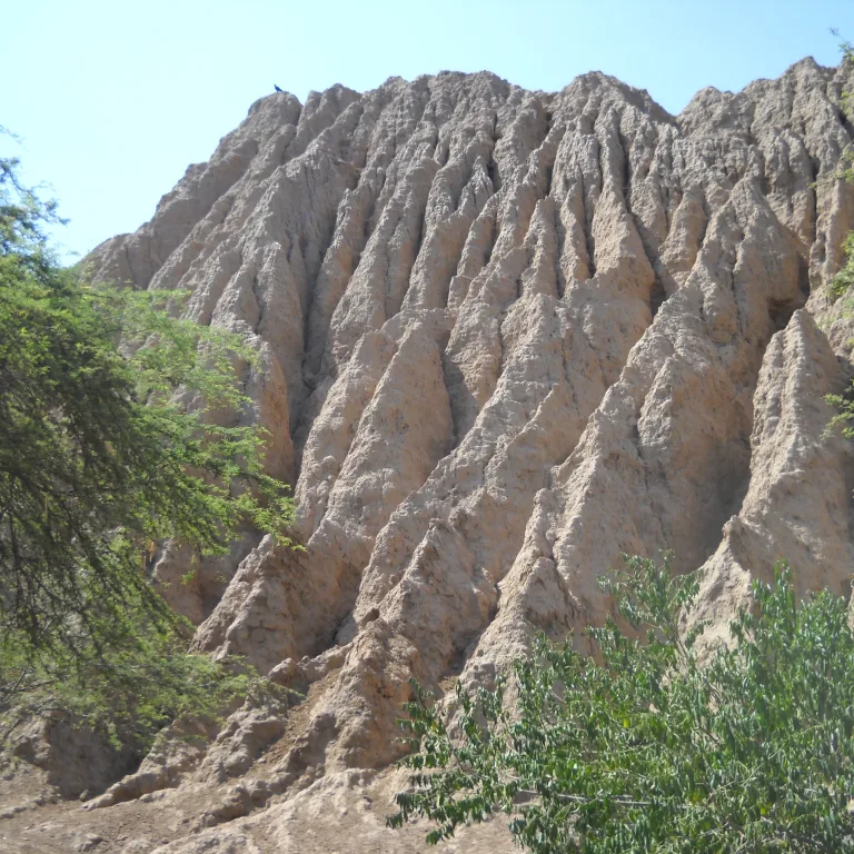 Close-up of eroded adobe ridges at Batán Grande Sicán site, showing vertical striations carved by wind and time