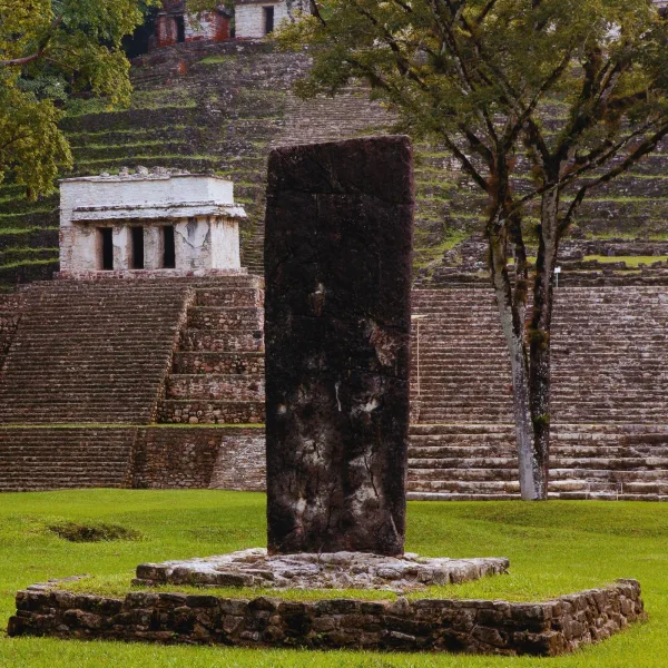 Stone stela at Bonampak in Chiapas, Mexico, standing before temple steps and jungle-covered ceremonial platforms.