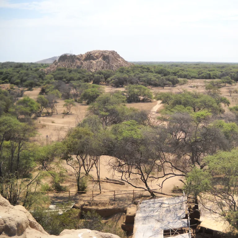 Elevated view of Huaca El Oro at Batán Grande Sicán site, showing its massive adobe form rising from the surrounding algarrobo forest and desert landscape