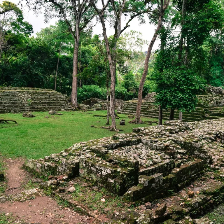 Overgrown stone foundations and small temple platforms among trees at the Copán archaeological site in Honduras.