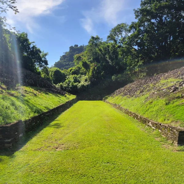 Stone platform framing a wide grassy corridor at El Cuajilote, with the Templo Mayor visible in the distance surrounded by dense jungle.