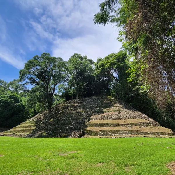 Templo Mayor Structure 1 at El Cuajilote partially covered by trees, rising from a broad grassy plaza under a blue sky.