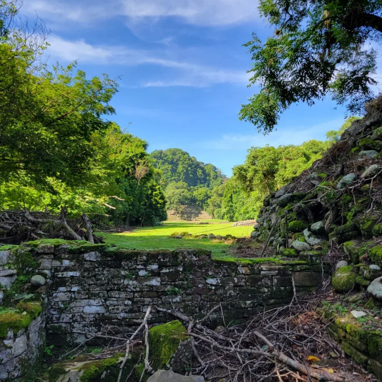 Stone platform framing a wide grassy corridor at El Cuajilote, with the Templo Mayor visible in the distance surrounded by dense jungle.