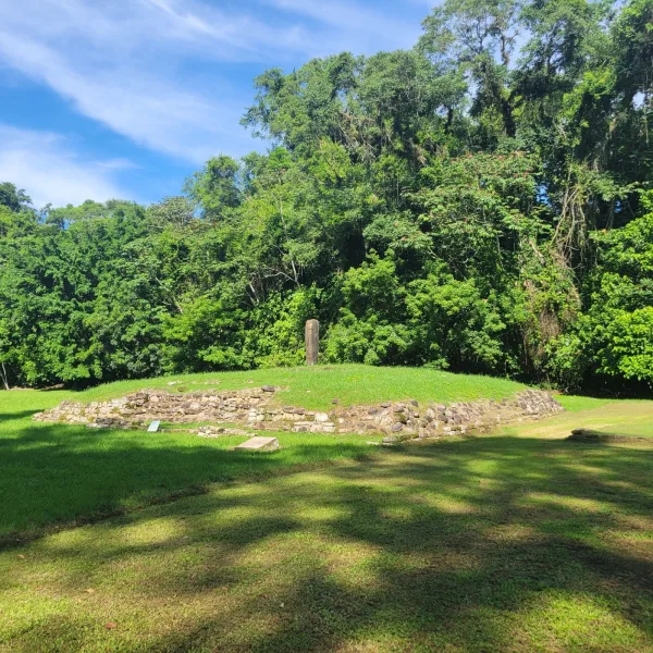 Platform in plaza at El Cuajilote with a single upright stela, surrounded by green grass and jungle trees.