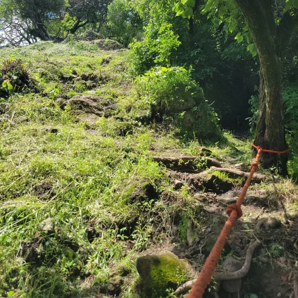 Steep grassy slope with an orange guide rope used to assist hikers en route to El Tlatoani ruins
