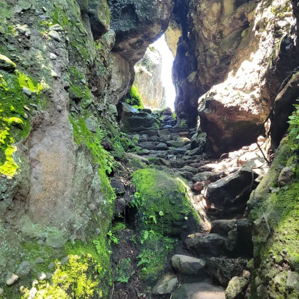 Moss-covered steps leading through a vertical rock crevice on the trail to El Tlatoani ruins
