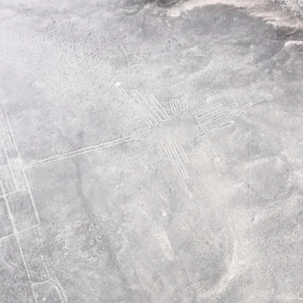 Aerial image of the Nazca Hummingbird geoglyph with long beak and symmetrical wings carved into the desert plain