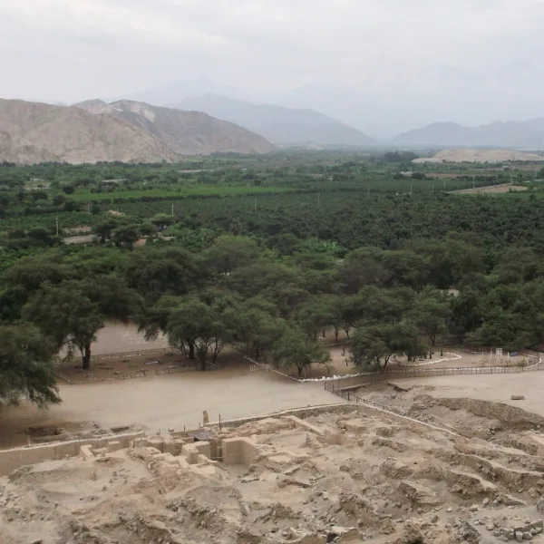 View of Cerro Sechín ruins in Casma, Peru, with adobe foundations, forest canopy, and surrounding Andean foothills