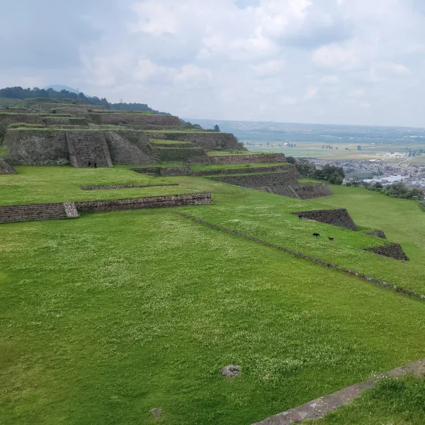 Tiered green terraces at Teotenango with stone staircases and platforms, overlooking the valley; three local dogs visible playing near the bottom right