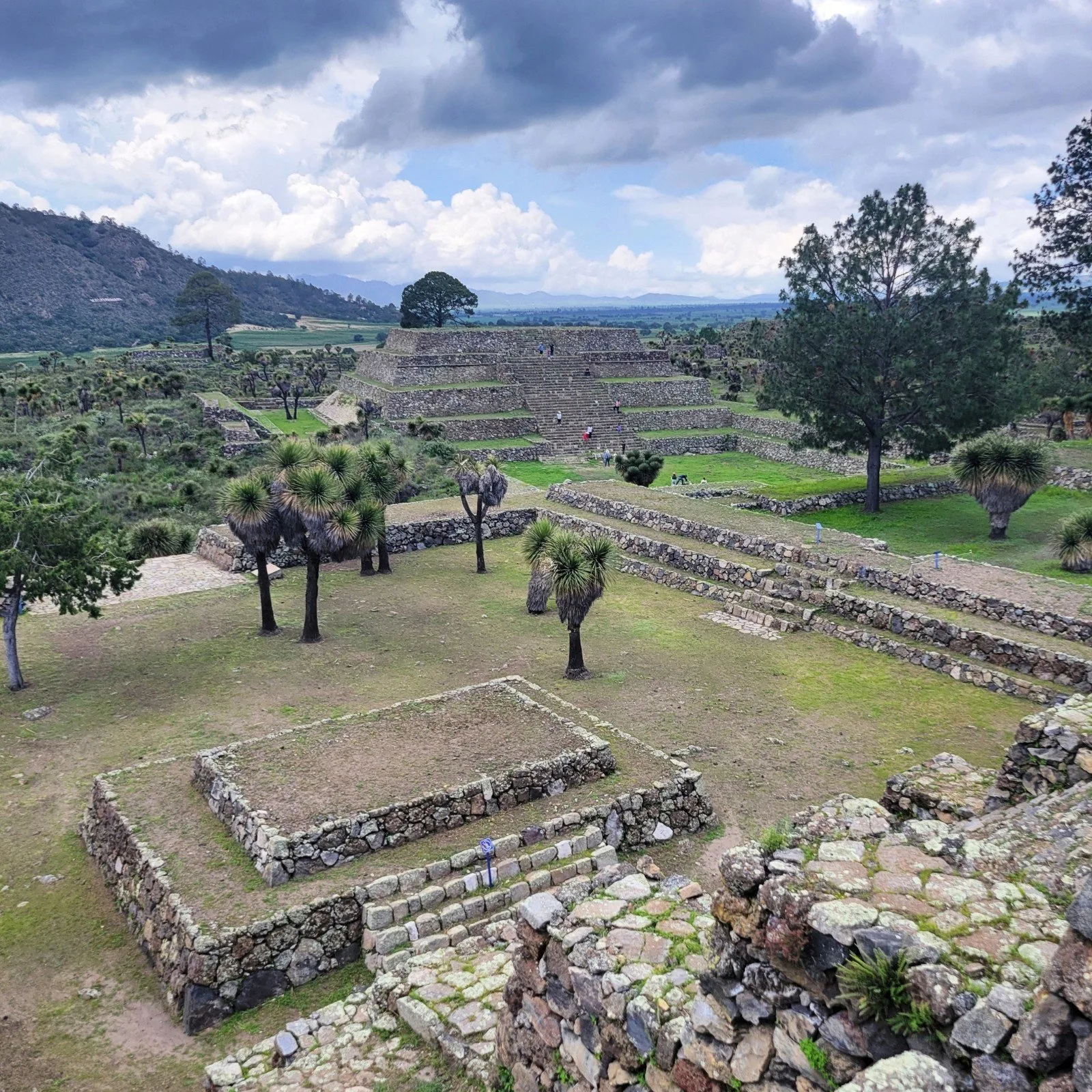 Wide view of Cantona’s central plaza with stone terraces, ceremonial platforms, and scattered trees in a volcanic highland landscape of Puebla, Mexico.