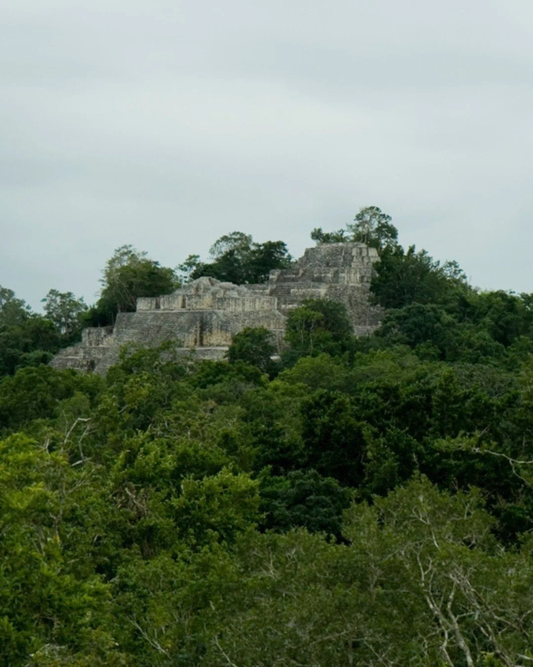 View of Calakmul’s ancient Maya temple complex emerging from the dense jungle in Campeche, Mexico
