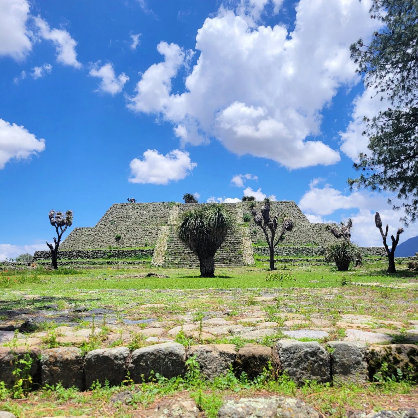 Stone pyramid at Cantona ruins in Puebla Mexico with large terraces and central stairway under a blue sky.