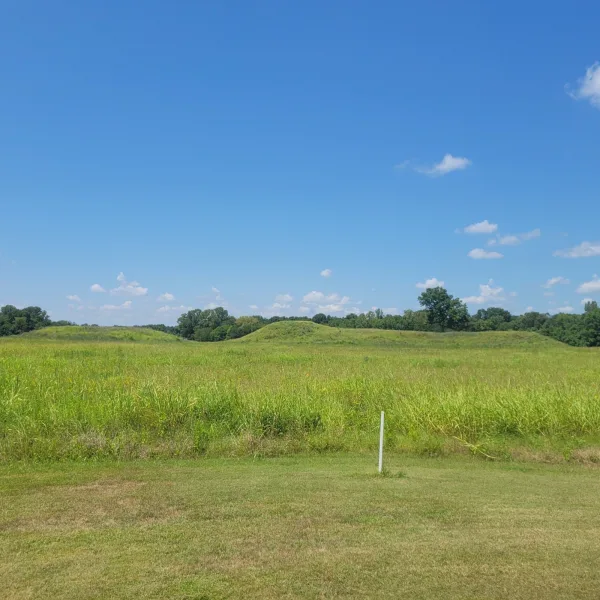 Wide grassland view of multiple Mississippian mounds at Kincaid, with trees on the horizon.
