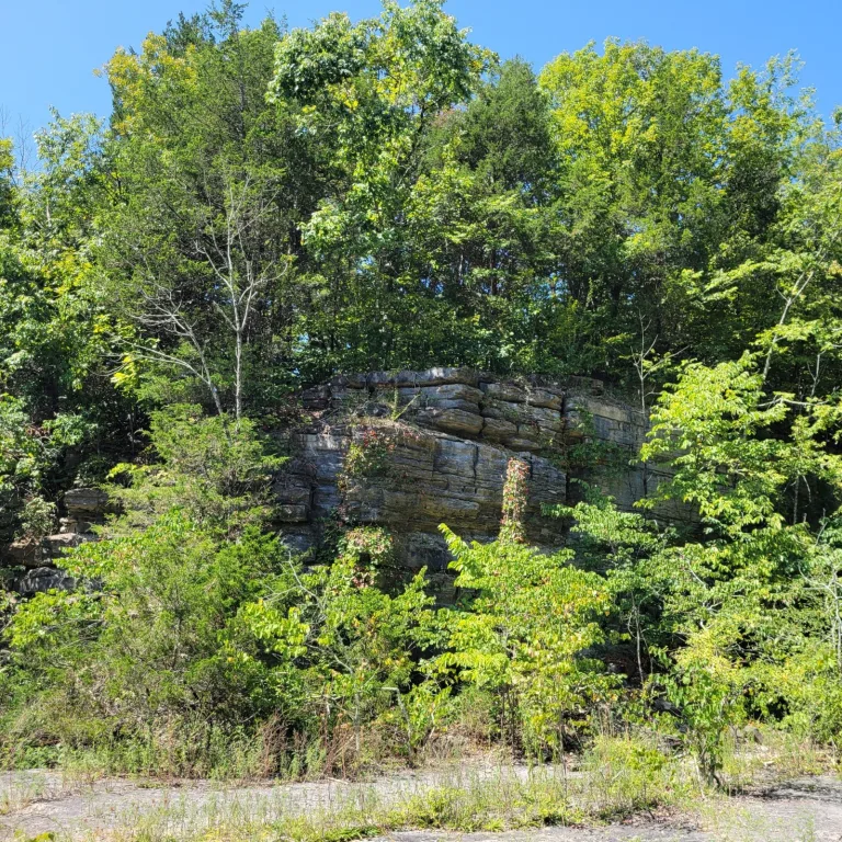 Cliffside view at Millstone Bluff in southern Illinois, showing exposed rock formations surrounded by forest at the Mississippian archaeological site.