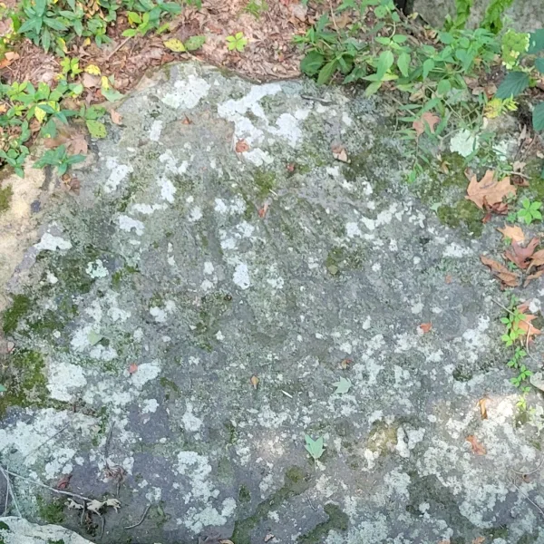 Thunderbird petroglyph carved into weathered sandstone at Millstone Bluff in southern Illinois, a Mississippian rock art site with ancient carvings.