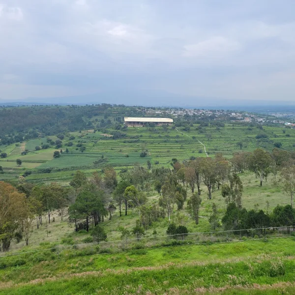 Distant view of the Cacaxtla mural complex from the upper platform of Xochitécatl, across a green valley