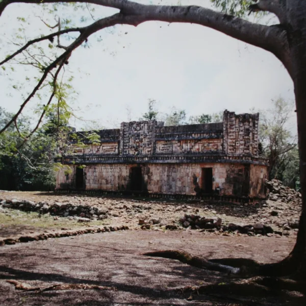 Wide shot of Xlapak’s main structure framed by trees, featuring curved stone base and geometric mosaics