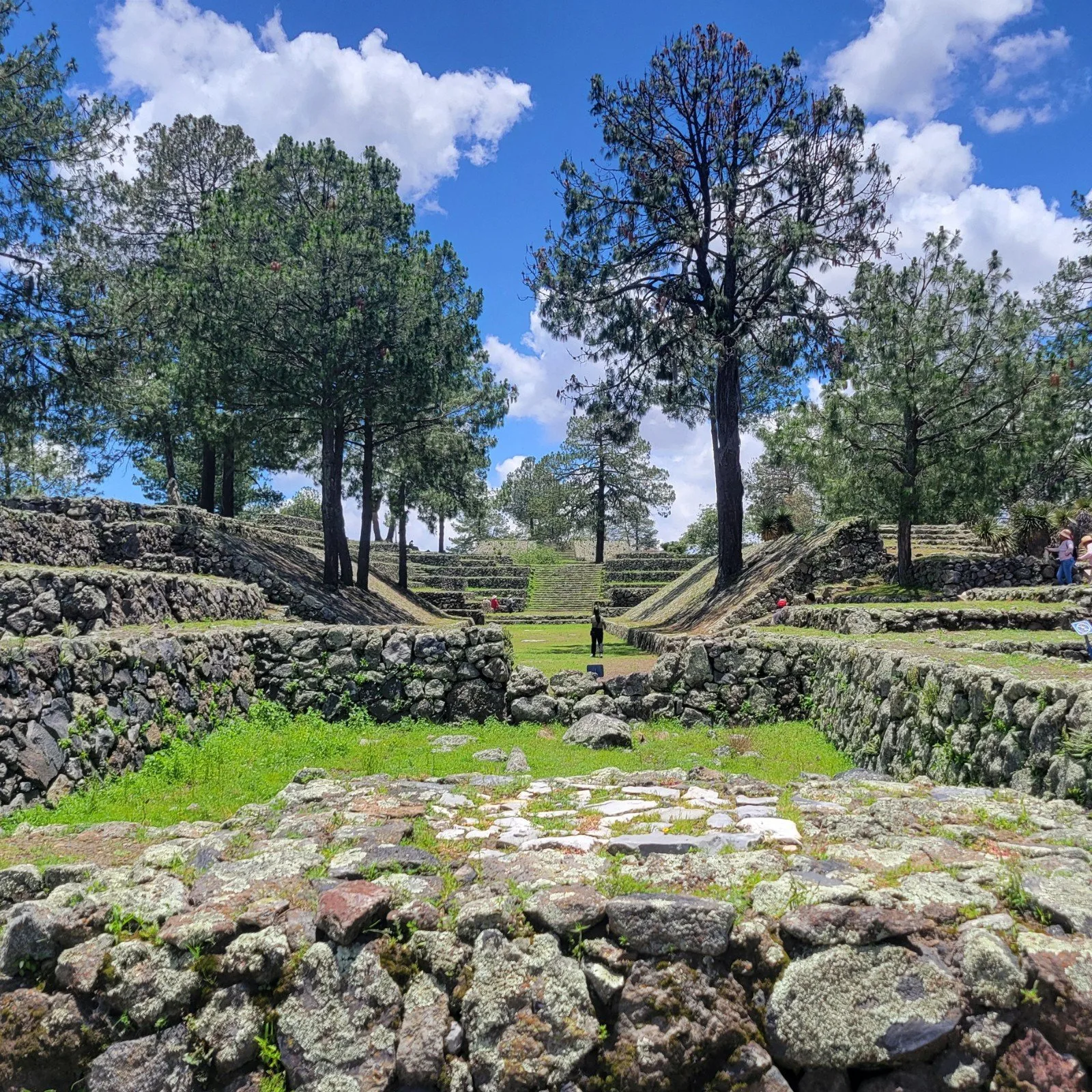 Ballcourt at Cantona in Puebla, Mexico, with pine trees growing among the stone terraces and temple platforms in the background
