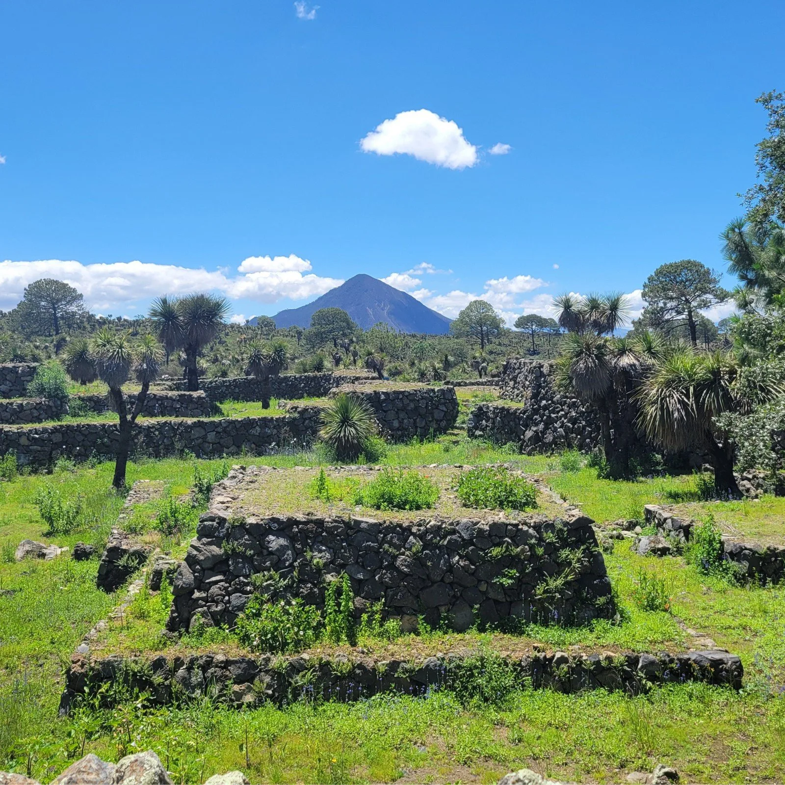 Stone residential platform at the Cantona archaeological site in Puebla, Mexico, with volcanic peaks visible in the background