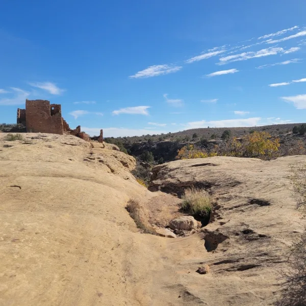 View of the dry canyon floor showing where the Ancestral Puebloans constructed a stone checkdam to manage seasonal water flow and irrigation.