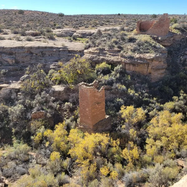 View from one mesa top showing the masonry walls of a tower and hovenweep house complex situated on the opposite side of the valley.