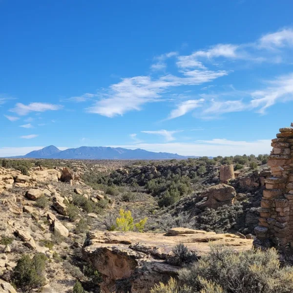 Panoramic view across the Hovenweep canyon landscape, dominated by the distant, distinct profile of Ute Mountain on the horizon.