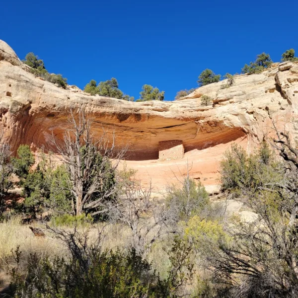 A preserved, two-story Ancestral Puebloan masonry structure built deep into the shadow of a canyon cliff alcove.