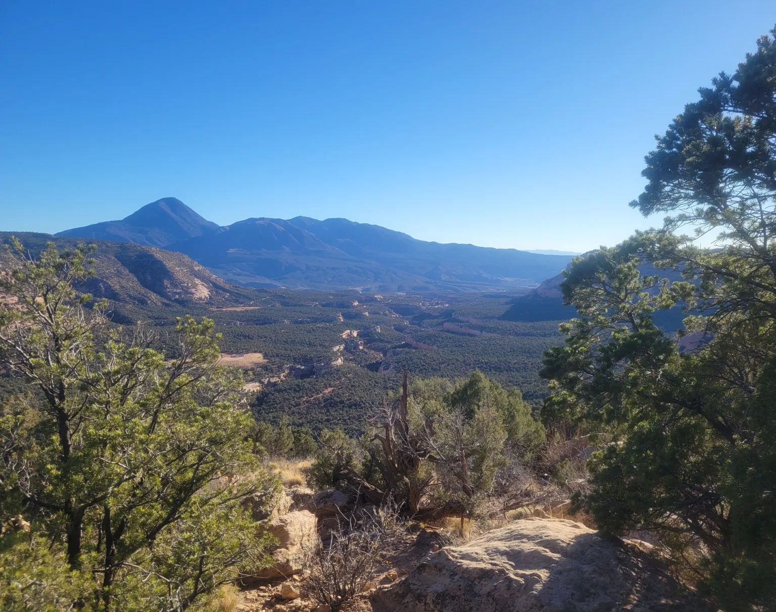 Panoramic view from the Sand Canyon Overlook across a deep, forested canyon, showing multiple mesas and distant mountains.