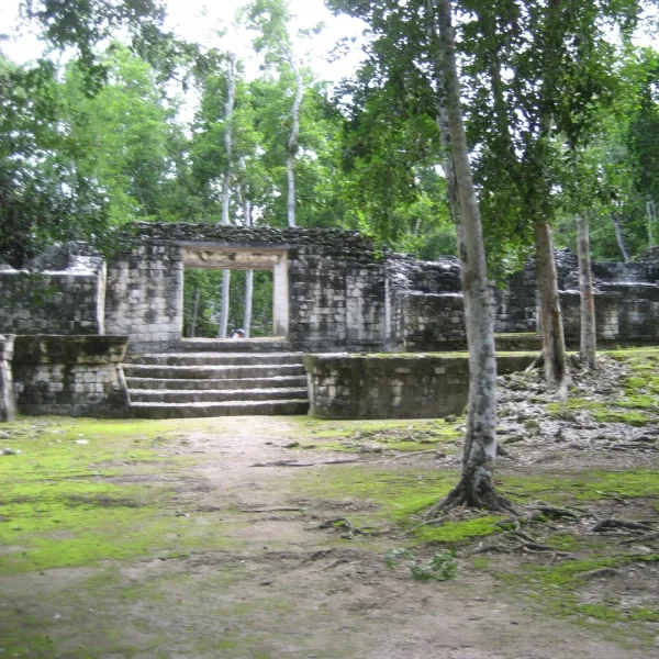 Low limestone range structure at the Maya site of Balamkú in Campeche, Mexico, featuring a central stairway leading to a single rectangular doorway framed by cut stone.