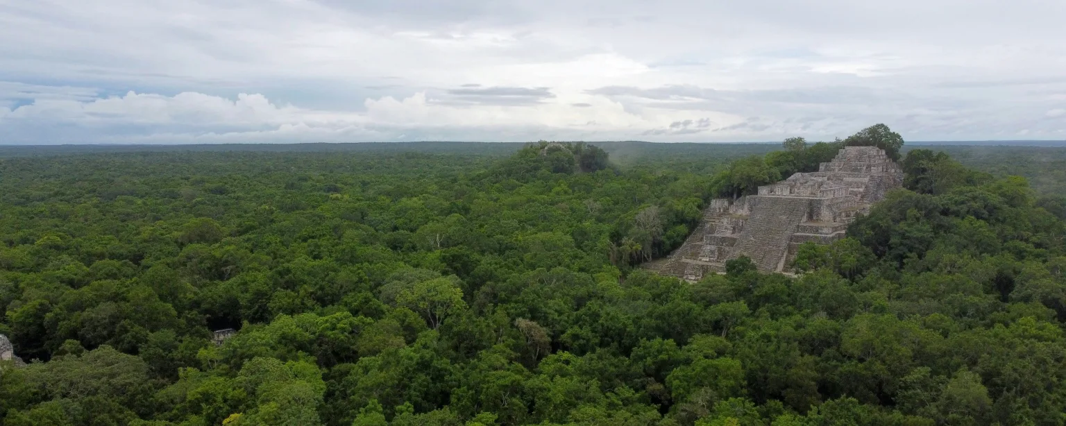 Structure II at Calakmul rising above the jungle canopy in Campeche Mexico