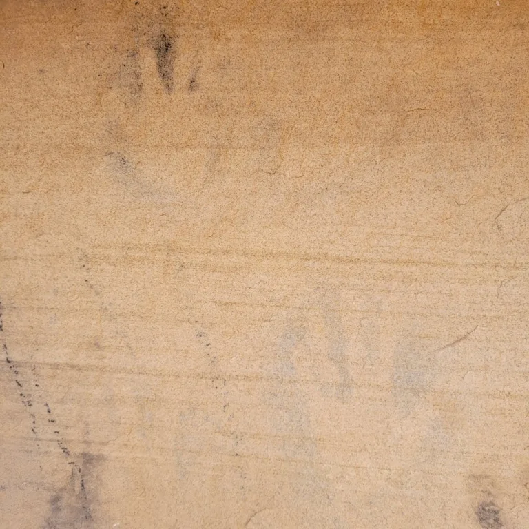 Negative handprints in dark blue and charcoal tones on a smooth sandstone wall at Painted Hand Pueblo in Canyons of the Ancients.