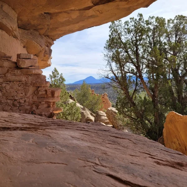 View from a cliff alcove at Painted Hand Pueblo, showing sandstone walls in the foreground and Ute Mountain rising across the valley.