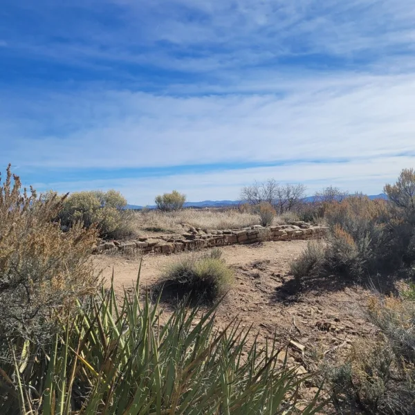 Stone masonry room blocks at Escalante Pueblo in Dolores, Colorado arranged in rectangular units with low standing walls and interpretive walkway nearby.