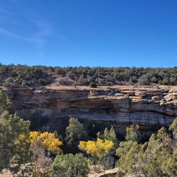 Sandstone cliff alcove at Five Kiva Pueblo in Utah overlooking a wooded canyon with yellow autumn foliage below