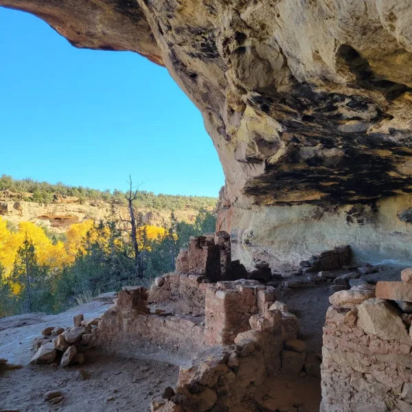 Stone masonry room walls of Five Kiva Pueblo constructed along the edge of a sandstone alcove overlooking a wooded canyon in Utah.