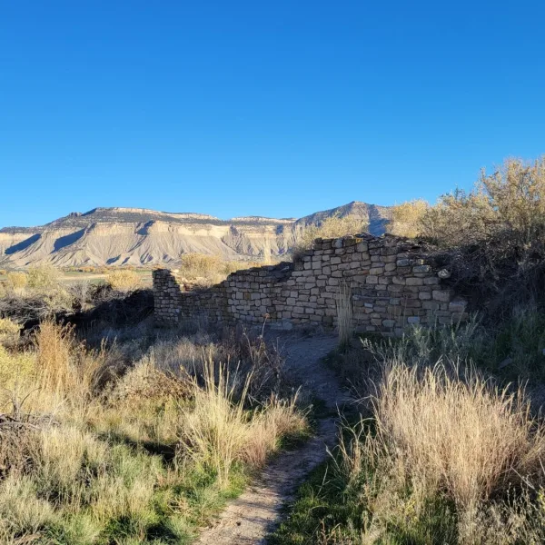 Stone masonry wall remains at Yucca House in Colorado with mesa cliffs rising in the background.