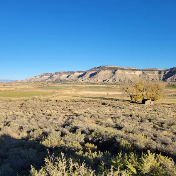 View from Yucca House across sagebrush and open fields toward layered mesa cliffs in Montezuma Valley, Colorado.