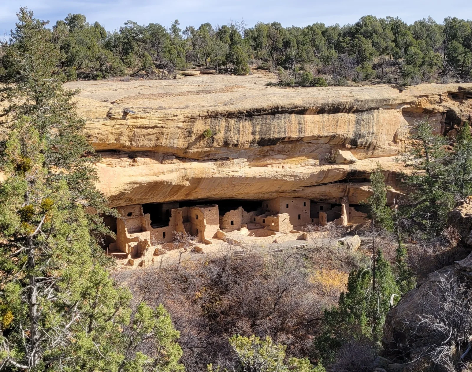 Cliff dwelling at Mesa Verde in Colorado USA built beneath a sandstone overhang and surrounded by pinyon and juniper woodland.