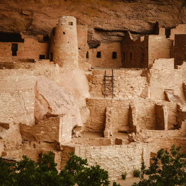 Close view of Cliff Palace at Mesa Verde National Park, showing the round tower, stone room blocks, and masonry walls beneath a sandstone alcove.