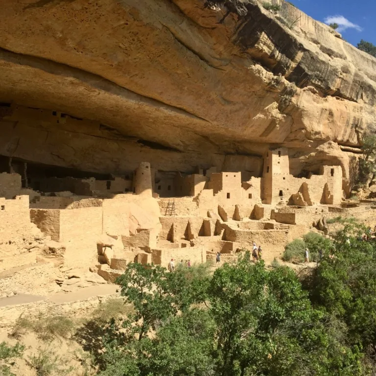 Wide view of Cliff Palace at Mesa Verde National Park, showing the large Ancestral Pueblo cliff dwelling built beneath a broad sandstone overhang.
