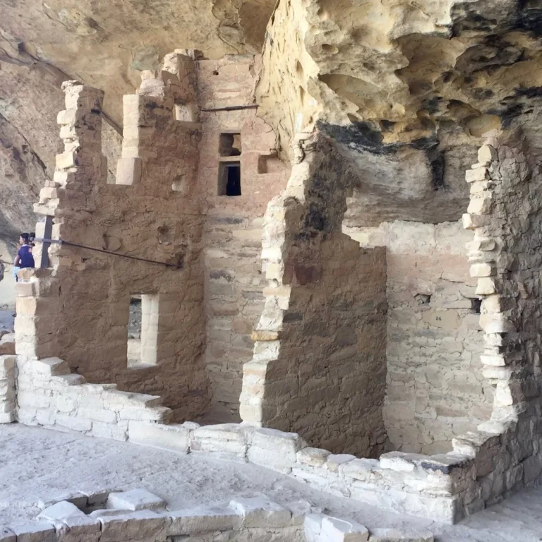 Central section of Spruce Tree House at Mesa Verde National Park, showing Ancestral Pueblo masonry rooms and a kiva beneath a sandstone alcove.
