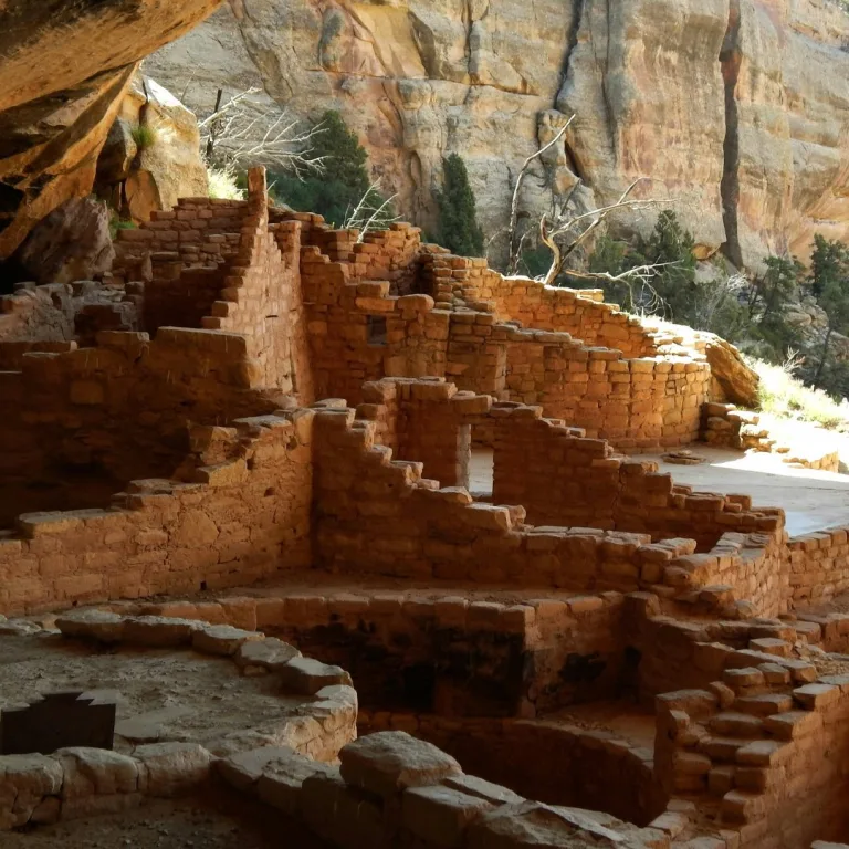 Interior section of Spruce Tree House at Mesa Verde National Park, showing an Ancestral Pueblo kiva and surrounding stone room blocks beneath a sandstone alcove.