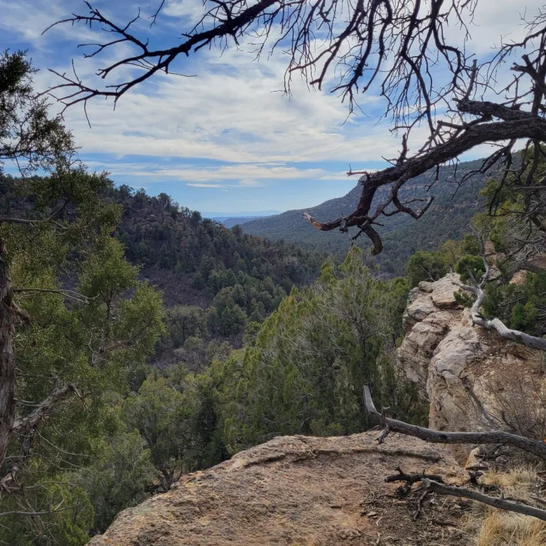 Overlook above Sand Canyon Pueblo in Canyons of the Ancients, with a juniper-lined canyon, rocky rim, and forested slopes under a broad sky.