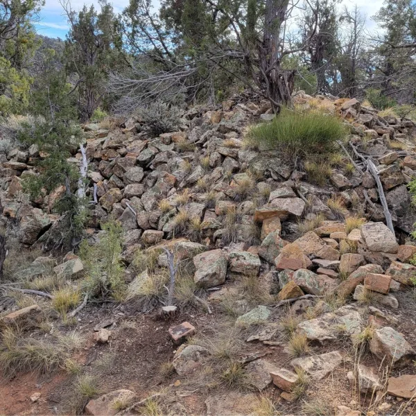 Collapsed stone rubble at Sand Canyon Pueblo in southwestern Colorado, spread across a slope with juniper trees, dry grasses, and scattered shrubs.