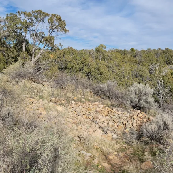 Low stone rubble at Sand Canyon Pueblo in southwestern Colorado, surrounded by sagebrush, grasses, and juniper woodland near the canyon rim under a cloudy sky.