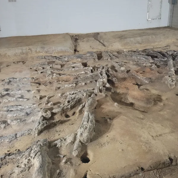 Eveland Village at Dickson Mounds in Lewistown, Illinois, with the preserved remains of a large rectangular Mississippian ceremonial building.