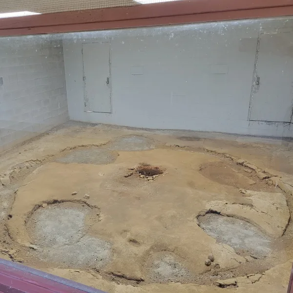Eveland Village at Dickson Mounds in Lewistown, Illinois, with the preserved remains of a round Mississippian ceremonial building.
