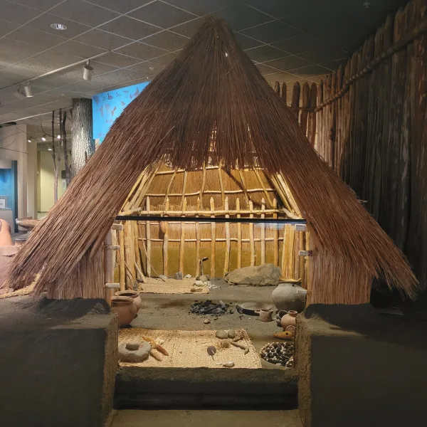 Dickson Mounds Museum in Illinois, with a reconstructed Native house exhibit, thatched roof, wooden posts, palisade wall, hearth, pottery, and tools.
