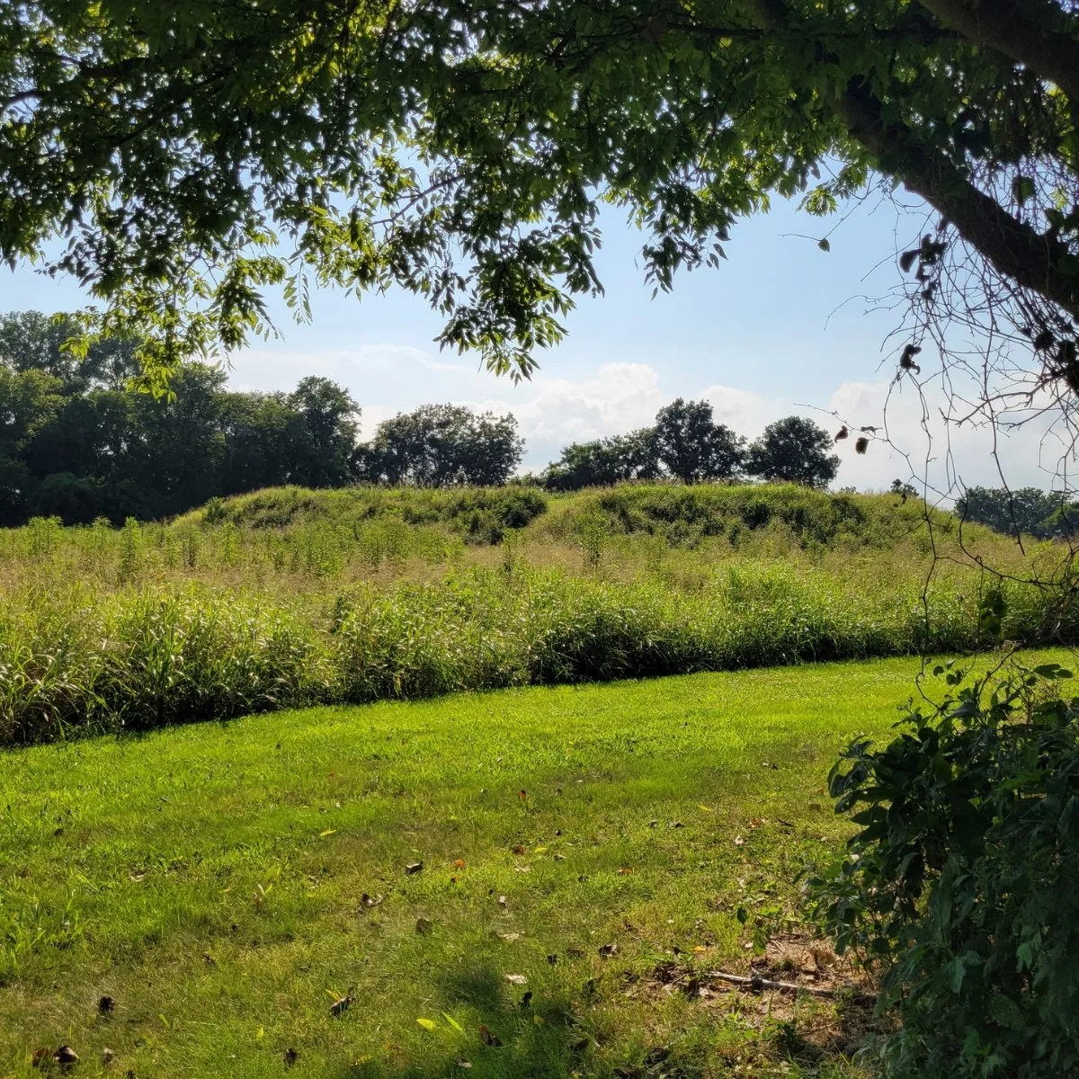 Mound 2 at Towosahgy State Historic Site in Missouri, with the main Mississippian mound rising behind open grass and framed by trees.