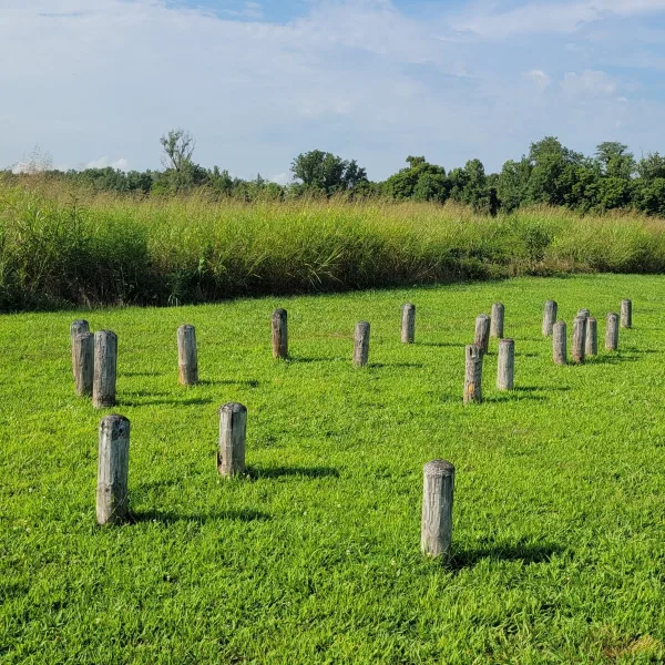 Reconstructed palisade posts at Towosahgy State Historic Site in Missouri, set in grass near the Mississippian village and mound area.